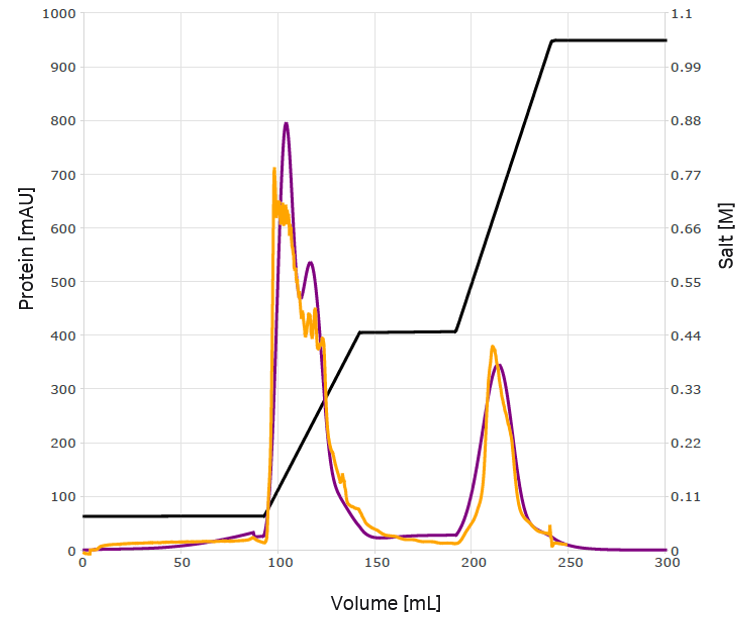 验证运行结果与基于模型的预测结果具有很好的一致性。电导率迹线以黑色显示。模拟结果以紫色显示，验证测量结果以橙色显示。