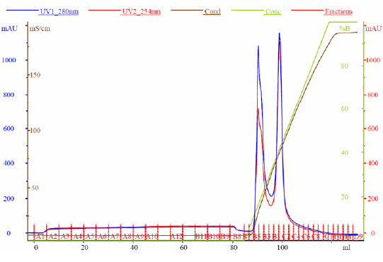 Initial reference chromatogram exported from UNICORN™ software.