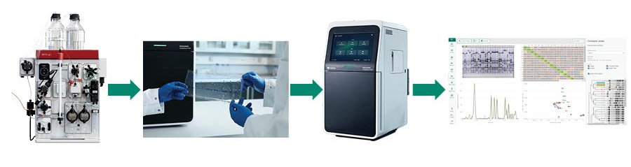 Workflow of protein purification, imaging, and analysis