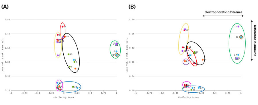ImageQuant TL 10 was used to create scatterplots for the lanes in the SDS-PAGE gels, where the incubation during elution was either (A) 4 hours or (B) 18 hours