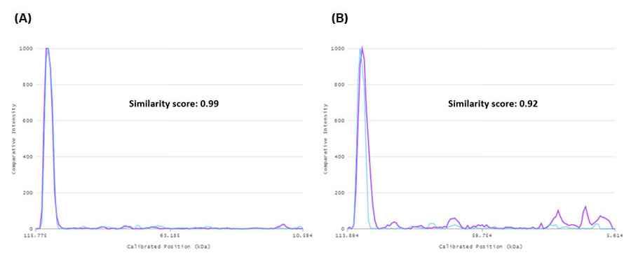 Line profiles for the SDS-PAGE gels incubated during glycosylated target protein elution for (A) 4 hours and (B) 18 hours