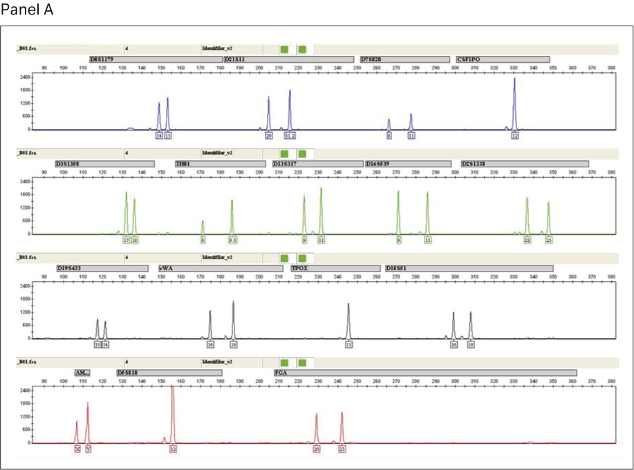 Figure 6A for A comparative performance evaluation of GenomiPhi™ V3 Ready-To-Go™ and GenomiPhi™ V2 DNA amplification kits