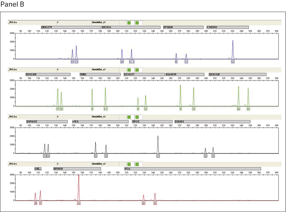 Figure 6B for A comparative performance evaluation of GenomiPhi™ V3 Ready-To-Go™ and GenomiPhi™ V2 DNA amplification kits