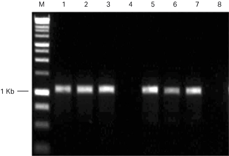 A comparative performance evaluation of GenomiPhi™ V3 Ready-To-Go™ and GenomiPhi™ V2 DNA amplification kits