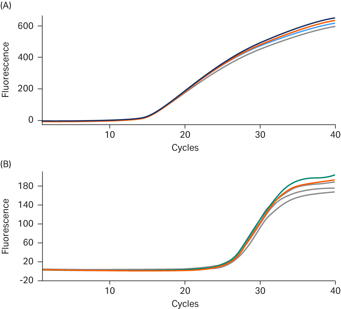 Applications of PuReTaq™ Ready-To-Go™ PCR Beads in Real-Time PCR