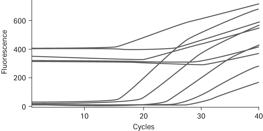 Applications of PuReTaq™ Ready-To-Go™ PCR Beads in Real-Time PCR