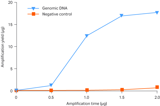 RTG GenomiPhi V3 24 rxn