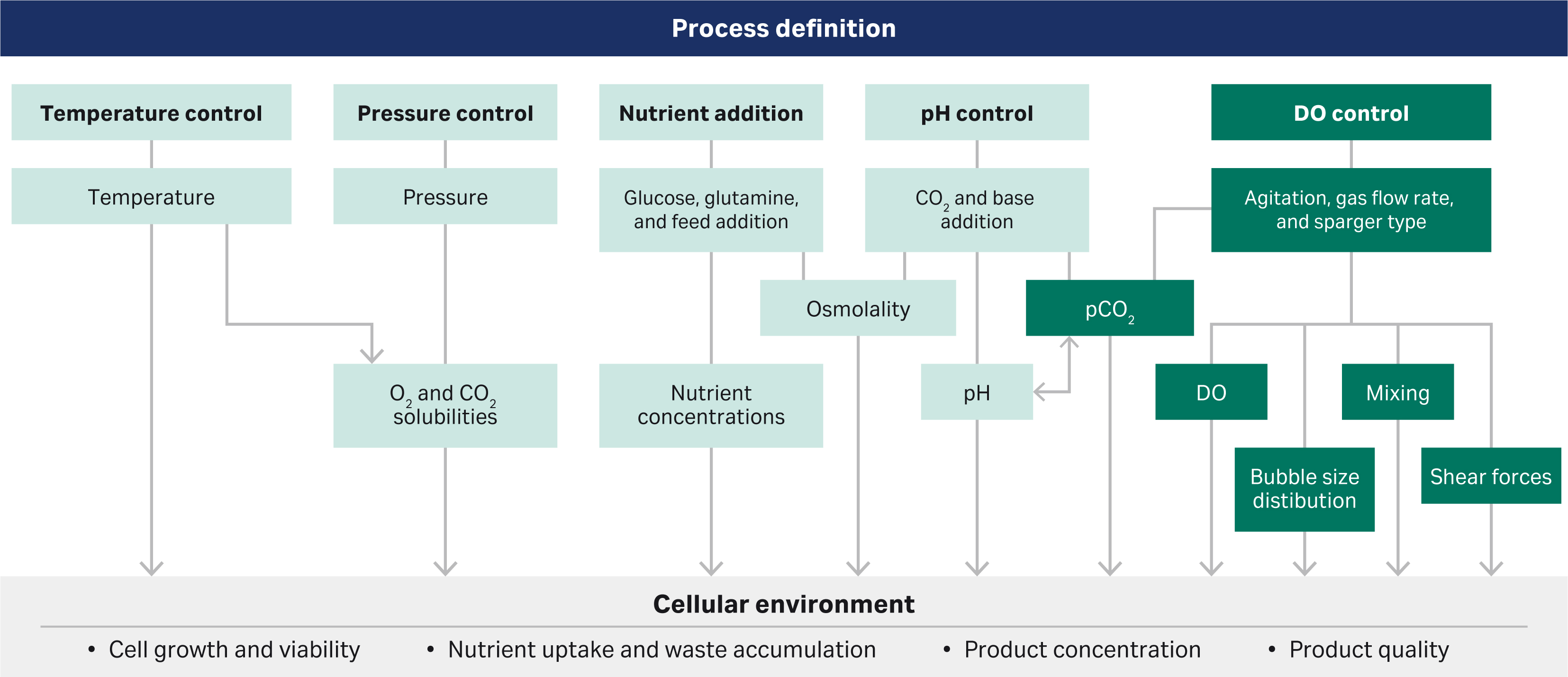 Scale-up production of HSA in a bioreactor. (a) Propagation of