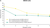 Figure 7B  Doubling time of MDCK cells seeded with different initial seeding density