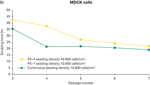 Figure 7B  Doubling time of MDCK cells seeded with different initial seeding density
