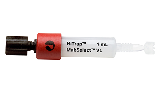HiTrap column, 1 mL, with MabSelect VL protein L affinity resin (520x300)