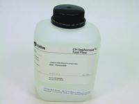 CM Sepharose Fast Flow