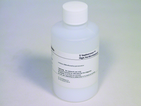 Q Sepharose High Performance