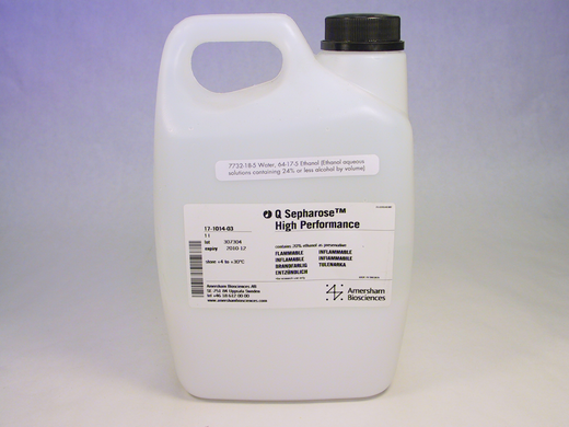 Q Sepharose High Performance