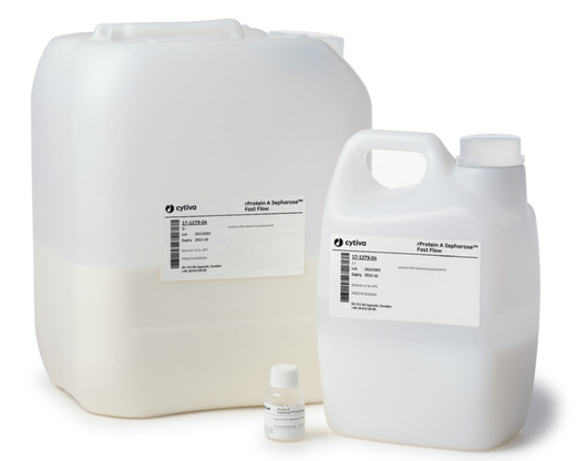 rProtein A Sepharose™ Fast Flow from Cytiva