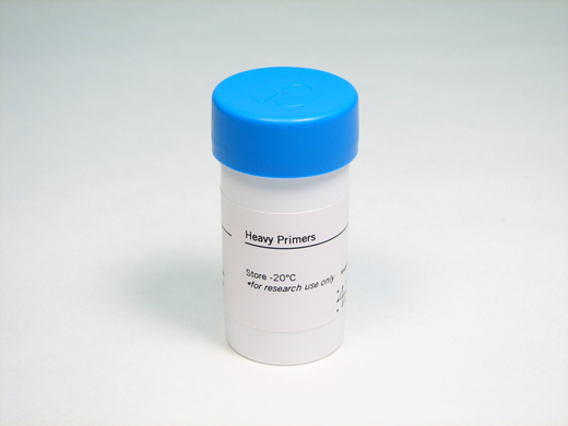 HEAVY PRIMER MIX