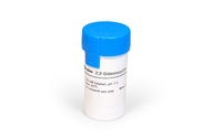 2',3'-Dideoxycytidine 5'-Triphosphate, 100&nbsp;mM Solution (ddCTP)