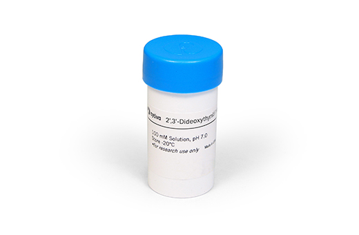 2',3'-Dideoxythymidine 5'-Triphosphate, 100&nbsp;mM Solution (ddTTP)