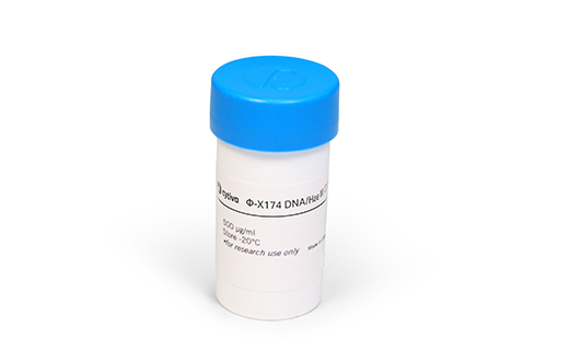 &phi;X-174 RF DNA-<i>Hae</i> III Digest