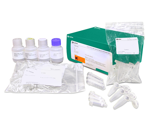 【なっこ】Dramatic Effects・Body Gel 6本SET GFX PCR DNA and Gel Band Purification Kits | Cytiva