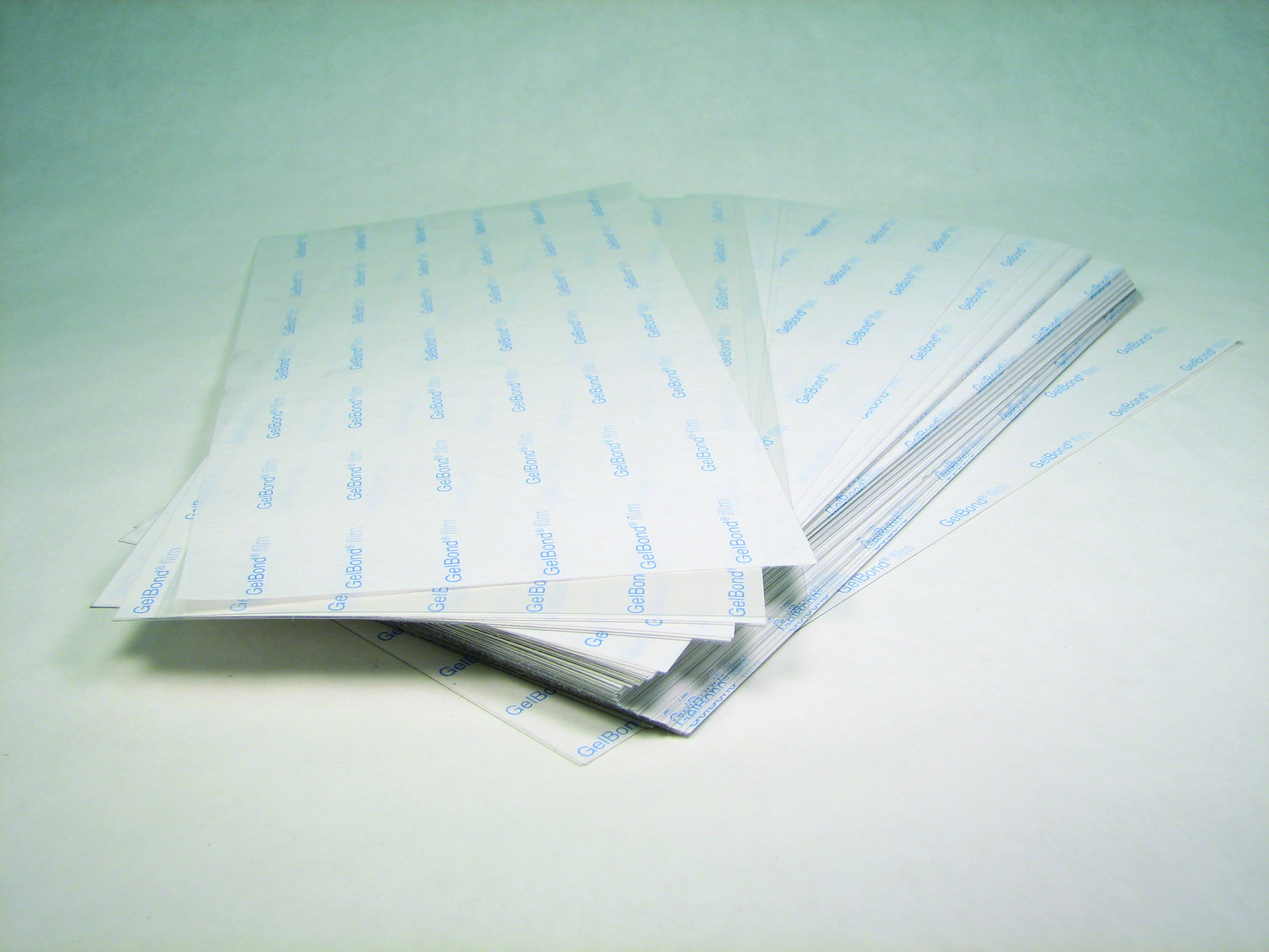 GelBond film (agarose) 124&nbsp;&times;&nbsp;258&nbsp;mm