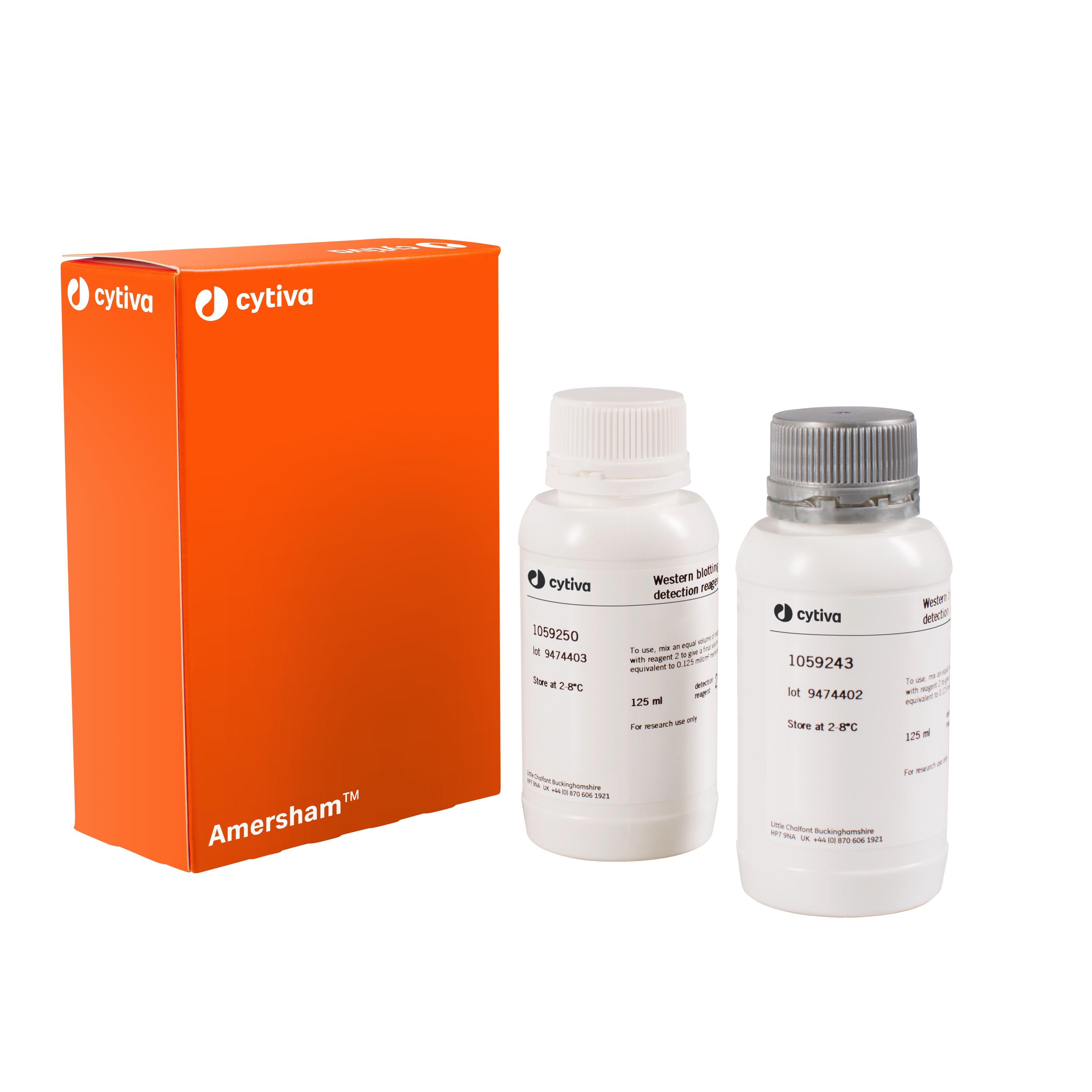 Amersham ECL Western blotting detection reagent