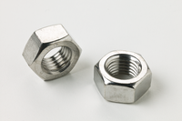 Hex Nut M16