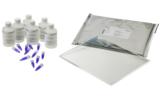 DIGE Gel and DIGE Buffer Kit