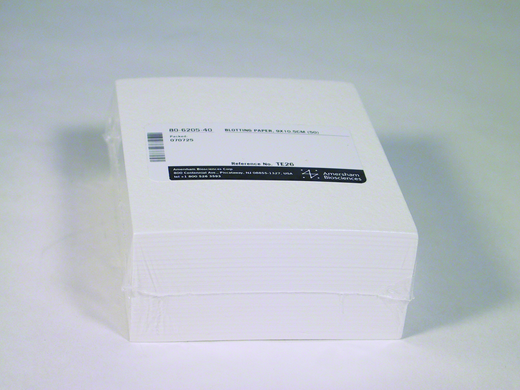 人気海外ブランドアイテム｜ファッション通販 paper Blotting 9x10.5 Cytiva | cm その他