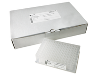 Streptavidin HP MultiTrap