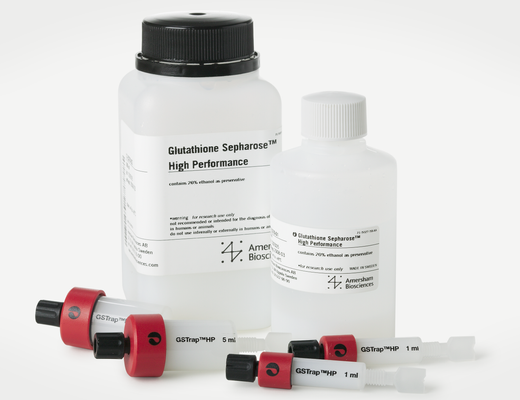 Glutathione Sepharose High Performance