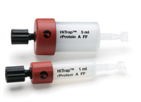 Salg omfavne Dodge HiTrap™ protein L antibody fragment purification columns | Cytiva