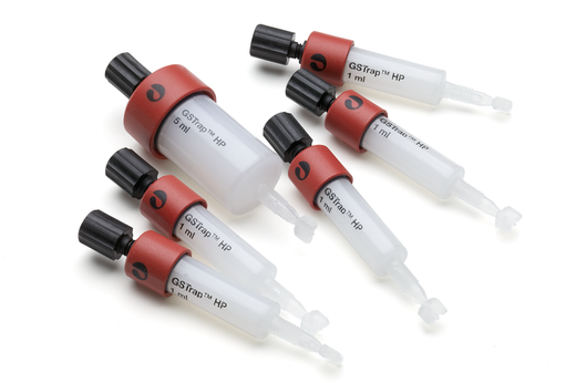 GSTrap™HPカラム｜GST精製用カラム｜Cytiva