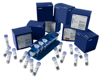 Mag Sepharose products and MagRack 6