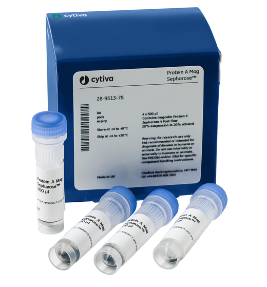 Protein A Mag Sepharose Cytiva
