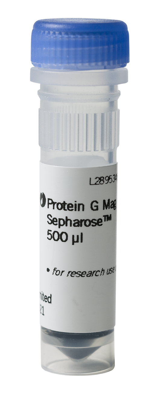Protein G Mag Sepharose Cytiva