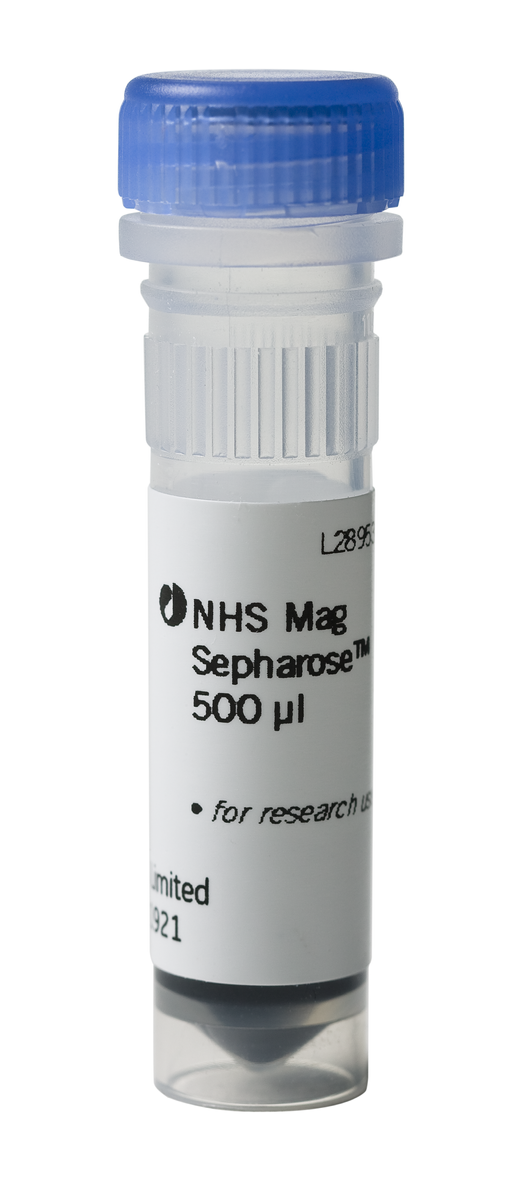 NHS Mag Sepharose