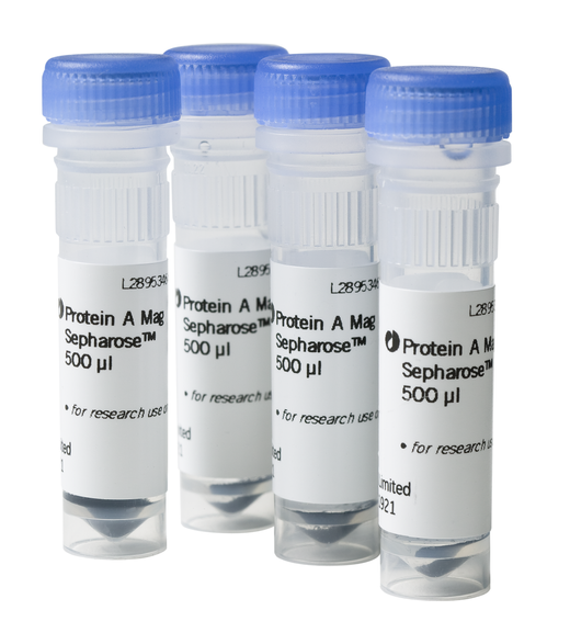 Protein A Mag Sepharose Cytiva
