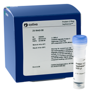 Protein G Mag Sepharose