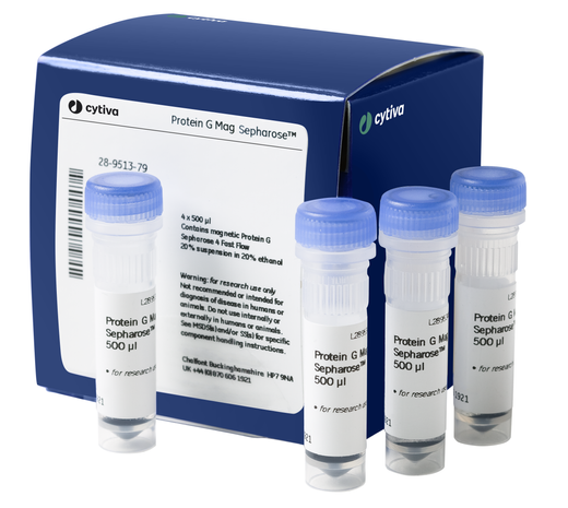 Protein G Mag Sepharose