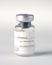 GNT-α ２袋 MabSelect SuRe™ antibody purification resin | Cytiva