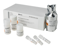 SDS-PAGE Clean-Up Kit