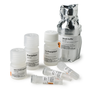 SDS-PAGE Clean-Up Kit