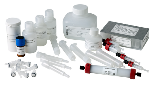 Collection of the GST Trap Family