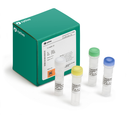 illustra GenomiPhi V2 DNA Amplification Kit