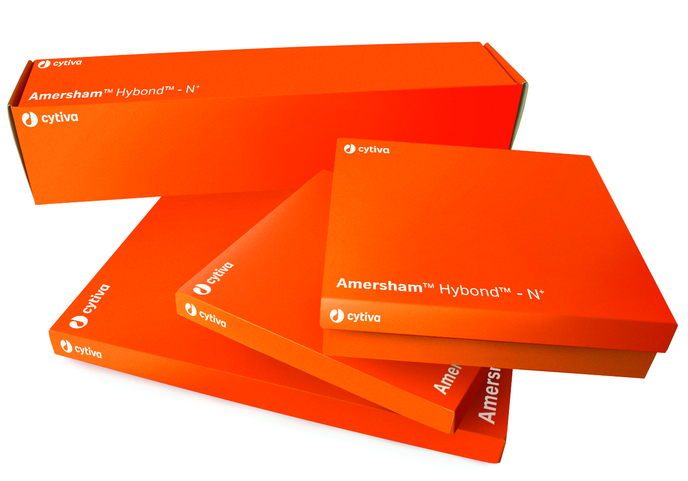 Selection of Amersham Hybond-N+ products