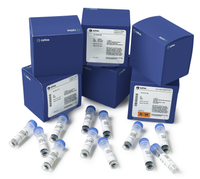 Selection of Mag Sepharose products