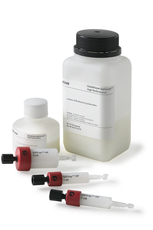 Glutathione Sepharose High Performance GSTtagged protein purification