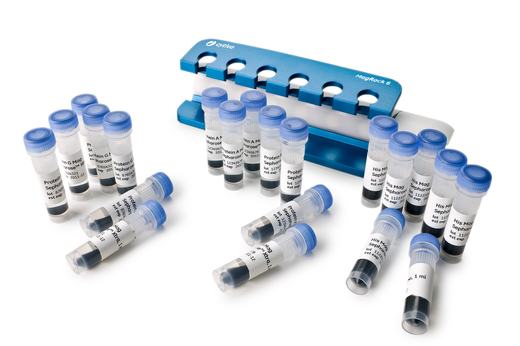 His Mag Sepharose Ni,Protein A Mag Sepharose Xtra,Protein G Mag Sepharose Xtra and MagRack