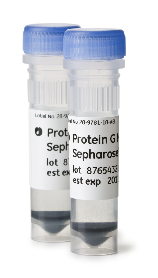 Protein G Mag Sepharose Xtra | Cytiva